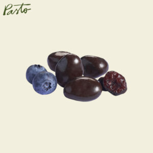 arandano chocolate 100g