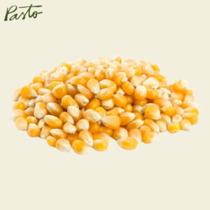maiz pisingallo 500g