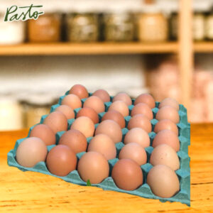 maple de huevos organicos diete
