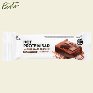 not protein bar chocolate brownie