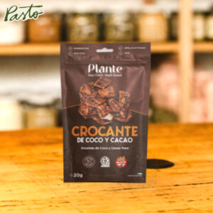 plante coco cacao