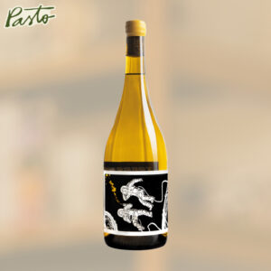 vino blanco les astronautes torrontes