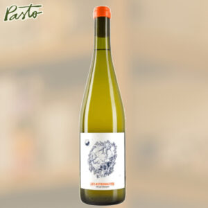 vino les astronautes petit nouvo