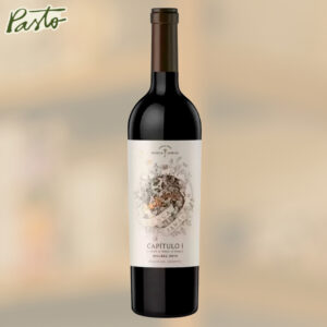 vino nunca jamas capitulo 1