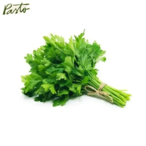 productospasto