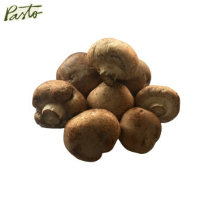 productospasto
