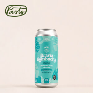 bravia kombucha manzana verde