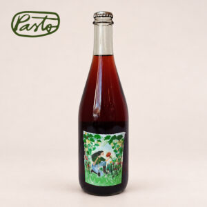omaggio pet nat cabernet franc stella crinita